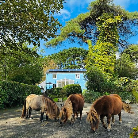 Bay View Cottage St Austell Kültér fotó